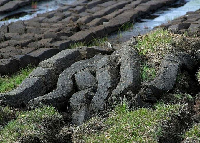 How Does Peat Make Whisky Taste Peaty Scotch Whisky