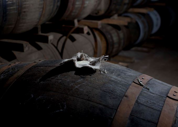 Rest in peace: Whisky undergoing its miraculous process of transformation Maturing whisky casks