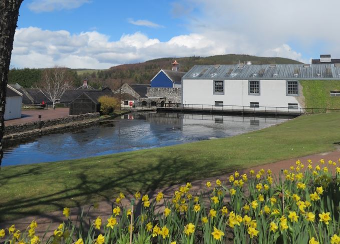 Spring sunshine: Glenfiddich distillery takes a breath as a busy SoSWF closes (Photo: Martine Nouet) Glenfiddich distillery