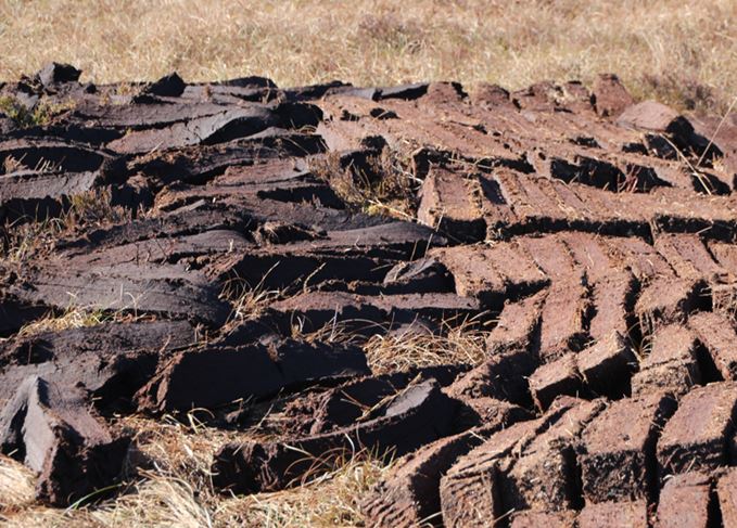 Turf war: Only the right kind of peat can be used to dry barley drying peat