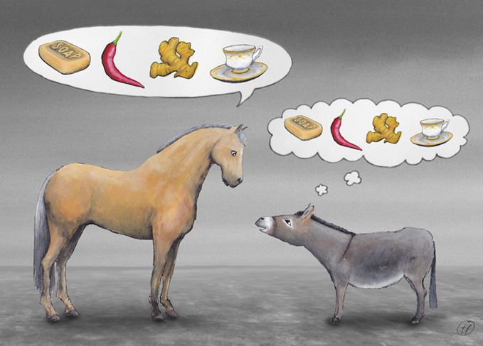 'I'm getting... I'm getting': The Virgin makes his inauspicious whisky debut. (Illustration: Tony Felstead) Gift horses