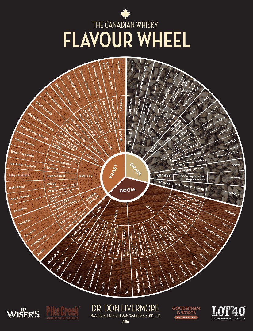 Is it time to reinvent the flavour wheel? Scotch Whisky